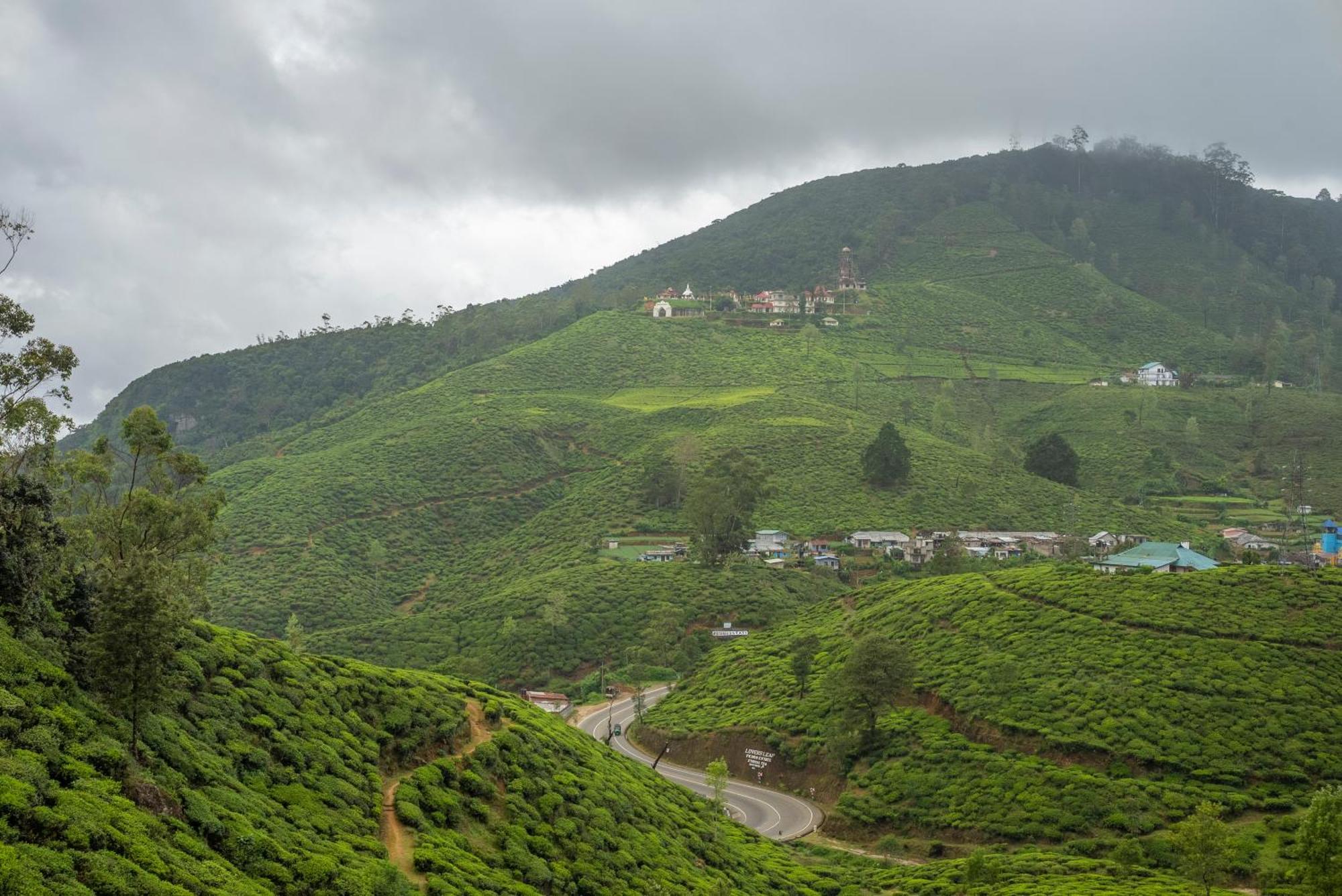 Aaradhya Nuwara Eliya Hotel Ngoại thất bức ảnh