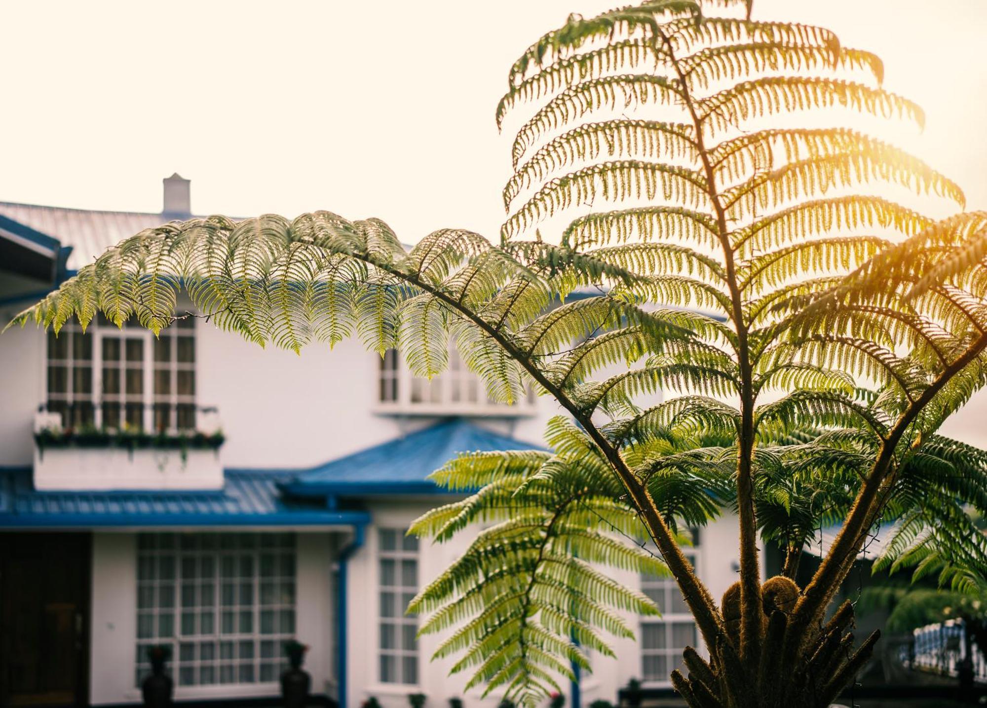 Aaradhya Nuwara Eliya Hotel Ngoại thất bức ảnh